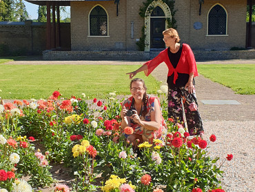 Bulb region becomes Flower region